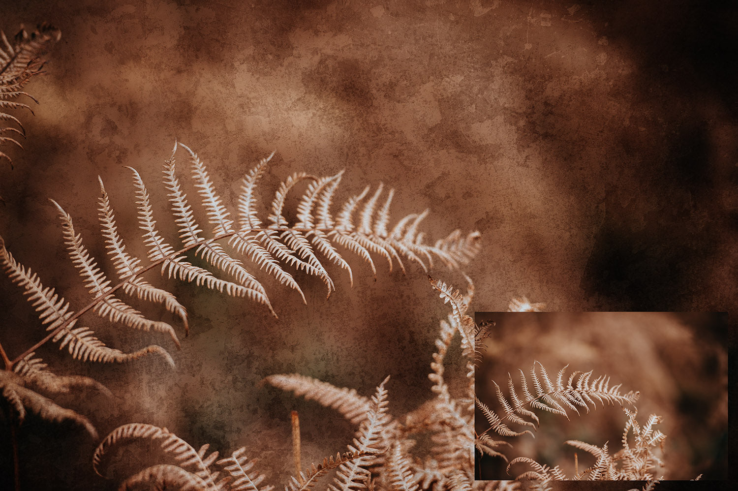 High Resolution Grunge and Grit Photoshop brushes for photography and digital design.  Digital Stamps for scrapbooking, photography and graphic design. Assets and Add ons. High resolution digital files.  ATP Textures